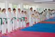 140831 Karate Sommerlehrgang Potsdam ESV02.jpg