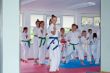 140831 Karate Sommerlehrgang Potsdam ESV05.jpg